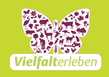 ALNM02204_Vielfalterleben_6